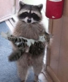 週2~3日出勤で今より収入が倍&hellip;？！のアイキャッチ画像