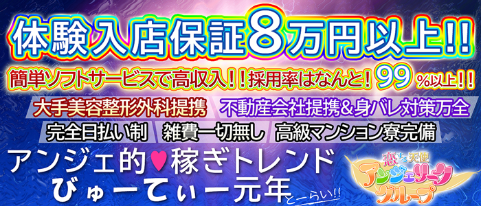 神奈川県
横浜市 (デリヘル)「
横浜デリヘル 新横浜アンジェリーク」
の高収入求人情報