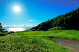 💰「短期でも、結果は出ます」のアイキャッチ画像