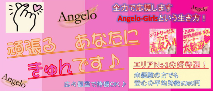 Angelo Revolutionの求人画像