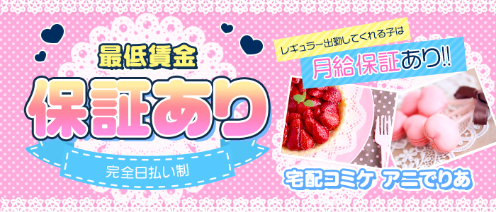 宅配コミケ アニでりあの求人画像