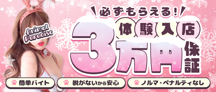 アニマルパラダイス