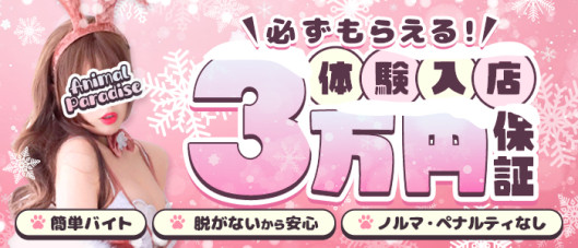 アニマルパラダイス
