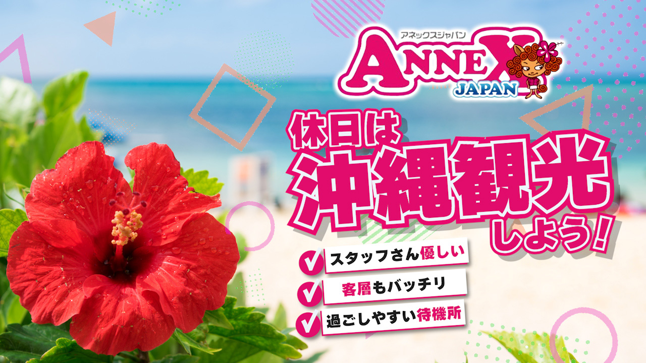 アネックスジャパンの求人動画