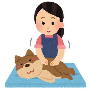 Q&A　どんな人が向いてますか？またどんな人が・・・のアイキャッチ画像