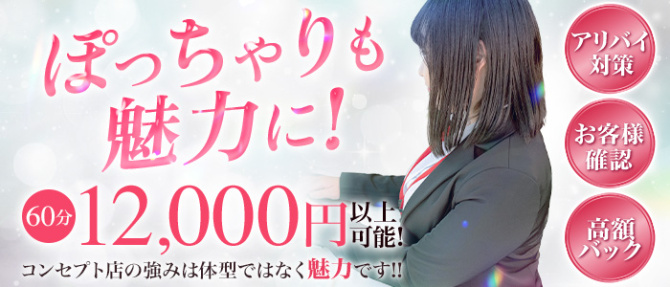 アソビザ女子社員 池袋支社のぽっちゃり求人画像