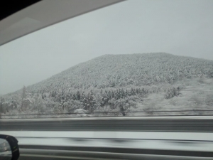 いざ青森=3=3のアイキャッチ画像