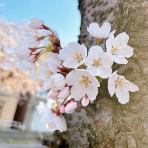 「ちょっと気になる&hellip;」から始めてみませんか？✨のアイキャッチ画像