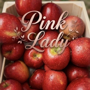 りんご🍎頂きます(^_-)-☆ピンクレディ🍎のアイキャッチ画像