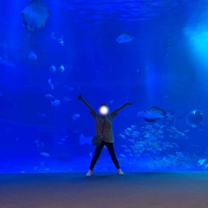 のとじま水族館に行ってきました🐠のアイキャッチ画像