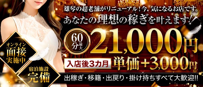 アラビアンナイトの出稼ぎ求人画像