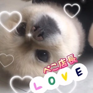 店舗型が安心して働けて、稼げる理由とは！？のアイキャッチ画像