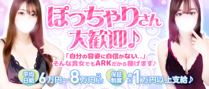 ARK(アーク)のぽっちゃり求人画像