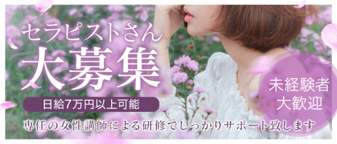 illumina~イルミナのぽっちゃり求人画像