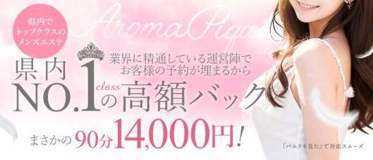 AROMA PIQUE-アロマ ピケ