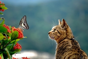 新天地で稼ぐなら&hellip;当店です！のアイキャッチ画像