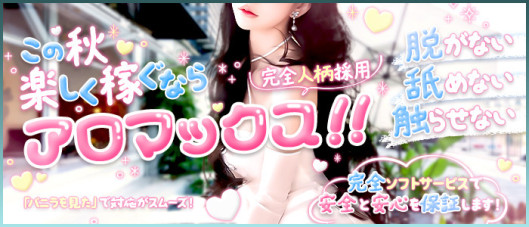 アロマックス2012