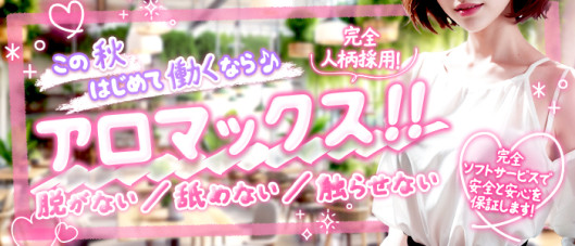 アロマックス2012