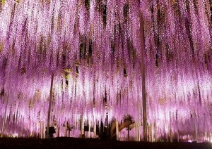 はじめてでも大丈夫？😊 不安な気持ちに寄り添います✨のアイキャッチ画像