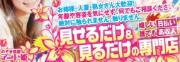 アート姫
