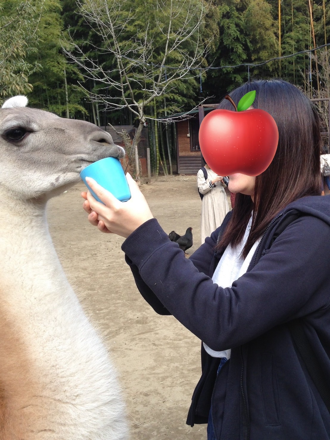 みやこさん