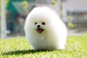 「数名の接客で、バイト3日分？athenaの『タイパ』が最強な理由」のアイキャッチ画像