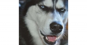 面接の帰りに「来て良かった」と思わせる自信、あります。のアイキャッチ画像