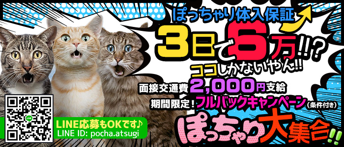 厚木・ぽちゃカワ女子専門店の求人画像