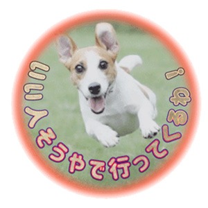 【安心対策、バッチリです🙆&zwj;♀️⭕】のアイキャッチ画像