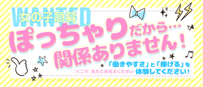 ベイビーブルーのぽっちゃり求人画像