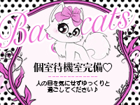 Baby Cats（ベイビーキャッツ）で働くメリット7