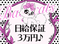 Baby Cats（ベイビーキャッツ）で働くメリット8
