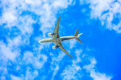 飛行機代も支給～♪