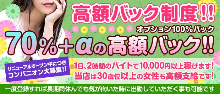 Party(パーティー)