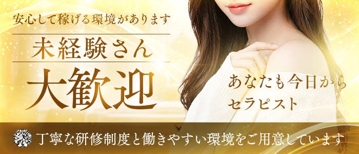 B and Bの未経験求人画像