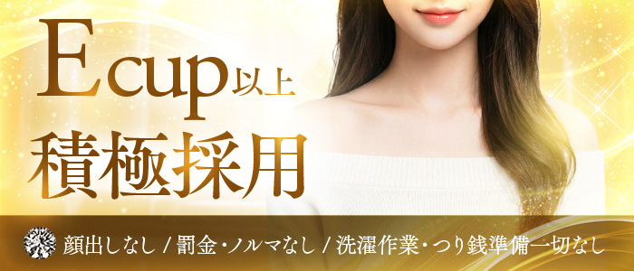 B and Bのぽっちゃり求人画像