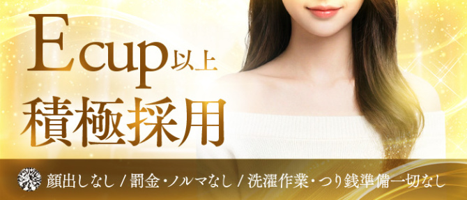 B and Bのぽっちゃり求人画像