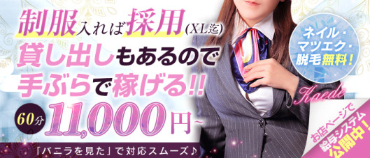 OLピンクコレクションの求人情報