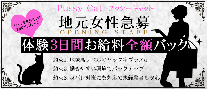 高松デリヘル プッシーキャットの求人画像