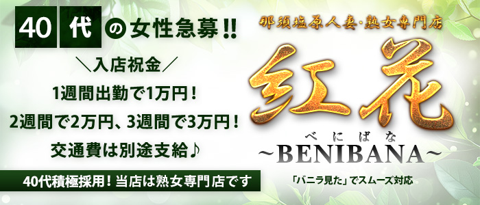 50代からのお店 紅花