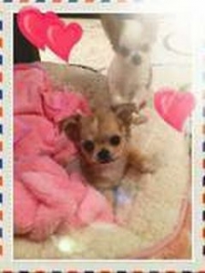 ★【1人1部屋完全個別待機】他の子に会う事有りません！！のアイキャッチ画像