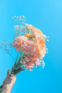 ˙⋆✮のアイキャッチ画像