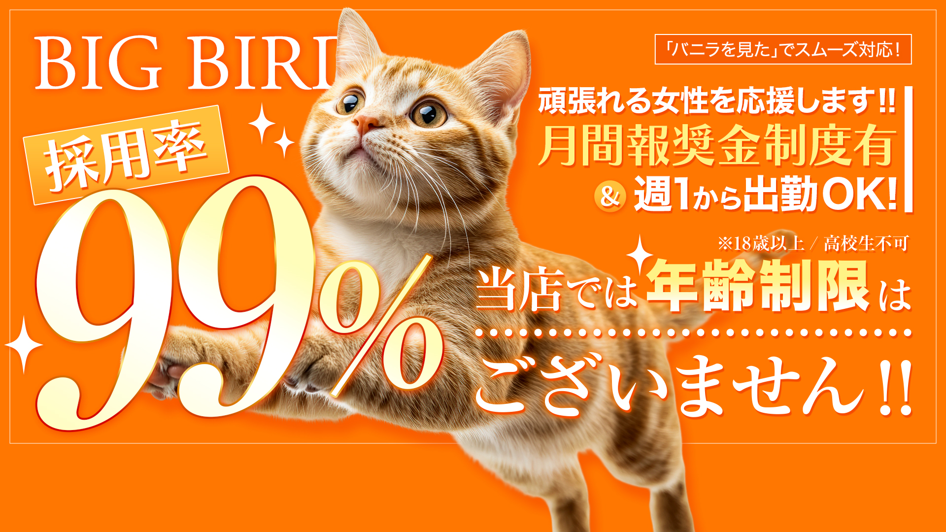 ビッグバードの求人画像