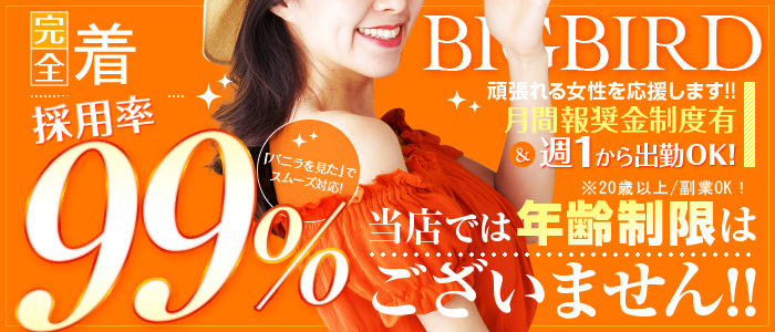 ビッグバード
