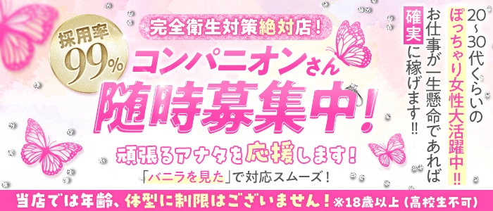 ビッグバード