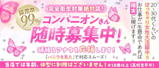ビッグバード