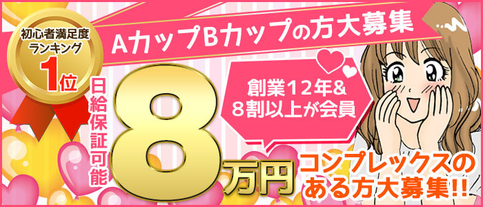 Aカップ微乳女学園の求人画像