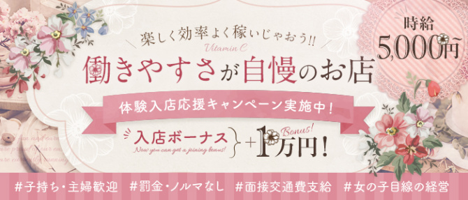 びたみんしぃのぽっちゃり求人画像