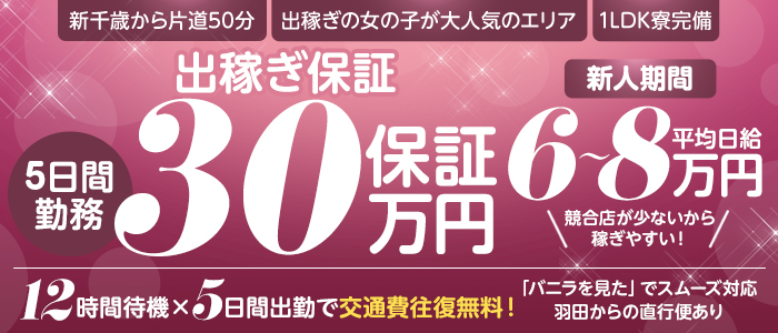 ブラックチェリーの求人情報