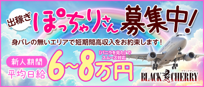 ブラックチェリーのぽっちゃり求人画像